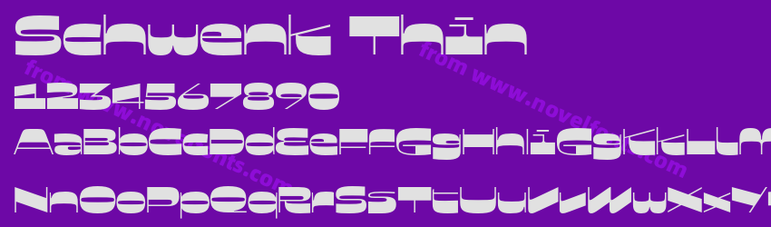 Schwenk ThinPreview Schwenk ThinPreview