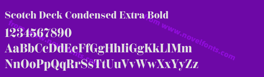 Scotch Deck Condensed Extra BoldPreview Scotch Deck Condensed Extra BoldPreview