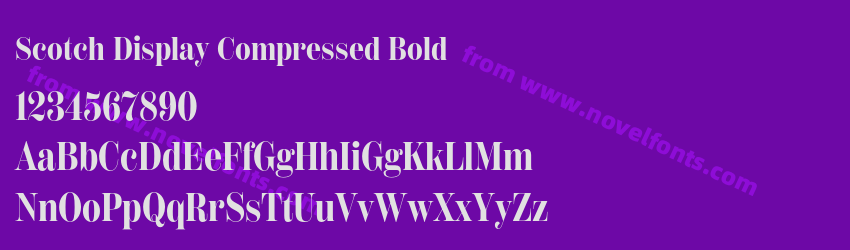 Scotch Display Compressed BoldPreview Scotch Display Compressed BoldPreview