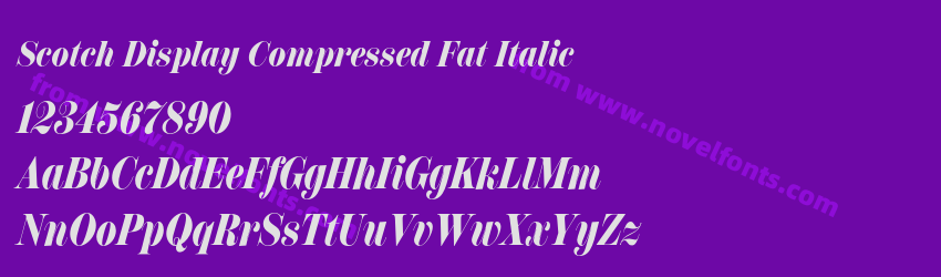 Scotch Display Compressed Fat ItalicPreview Scotch Display Compressed Fat ItalicPreview