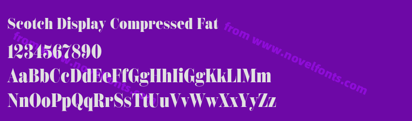 Scotch Display Compressed FatPreview Scotch Display Compressed FatPreview