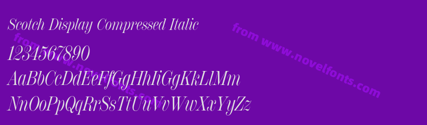 Scotch Display Compressed ItalicPreview Scotch Display Compressed ItalicPreview