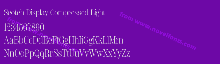 Scotch Display Compressed LightPreview Scotch Display Compressed LightPreview