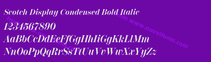 Scotch Display Condensed Bold ItalicPreview Scotch Display Condensed Bold ItalicPreview