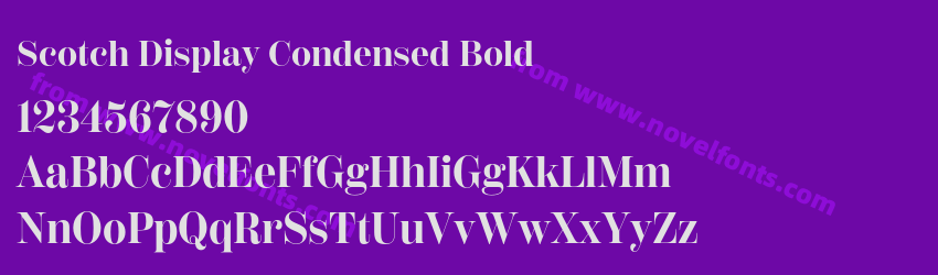 Scotch Display Condensed BoldPreview Scotch Display Condensed BoldPreview