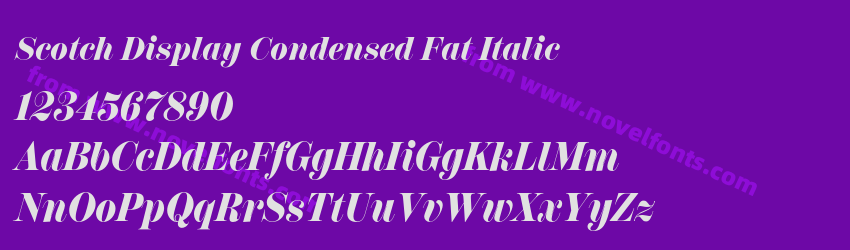 Scotch Display Condensed Fat ItalicPreview Scotch Display Condensed Fat ItalicPreview
