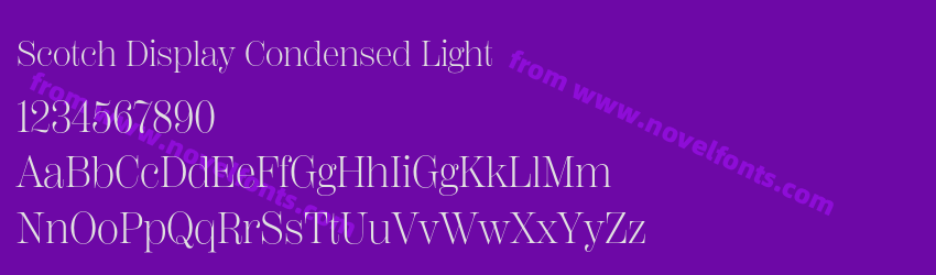 Scotch Display Condensed LightPreview Scotch Display Condensed LightPreview