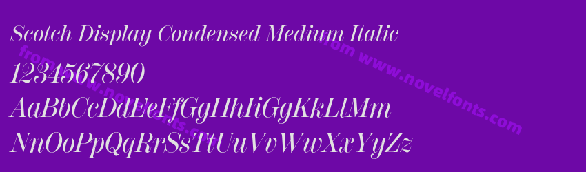 Scotch Display Condensed Medium ItalicPreview Scotch Display Condensed Medium ItalicPreview