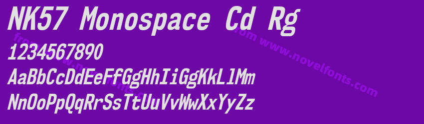 NK57 Monospace Cd Rg Bold ItalicPreview