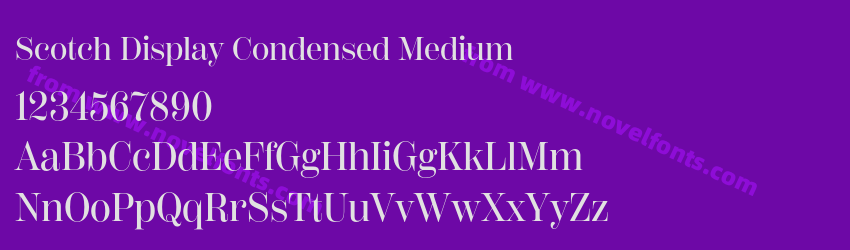 Scotch Display Condensed MediumPreview Scotch Display Condensed MediumPreview