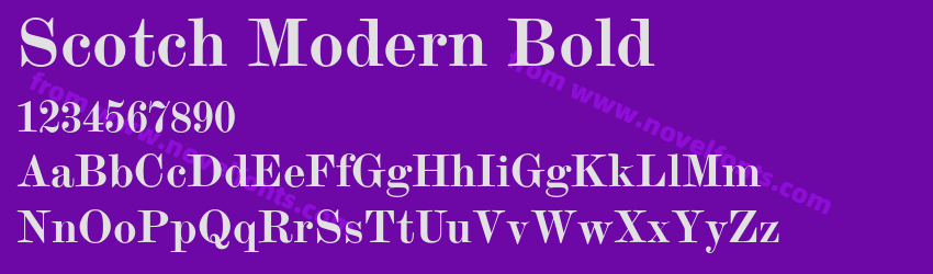 Scotch Modern BoldPreview Scotch Modern BoldPreview