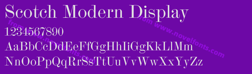Scotch Modern DisplayPreview Scotch Modern DisplayPreview