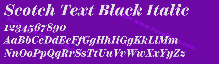 Scotch Text Black ItalicPreview Scotch Text Black ItalicPreview