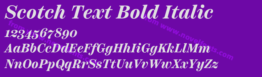 Scotch Text Bold ItalicPreview Scotch Text Bold ItalicPreview