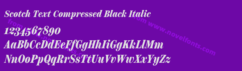 Scotch Text Compressed Black ItalicPreview Scotch Text Compressed Black ItalicPreview