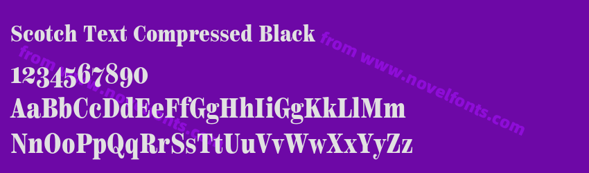 Scotch Text Compressed BlackPreview Scotch Text Compressed BlackPreview