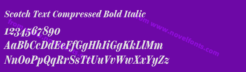 Scotch Text Compressed Bold ItalicPreview Scotch Text Compressed Bold ItalicPreview