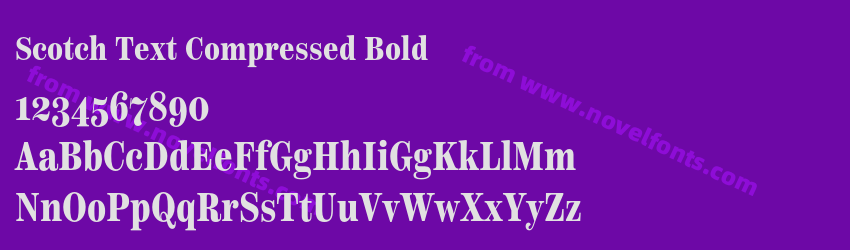 Scotch Text Compressed BoldPreview Scotch Text Compressed BoldPreview