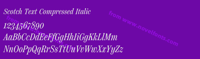 Scotch Text Compressed ItalicPreview Scotch Text Compressed ItalicPreview