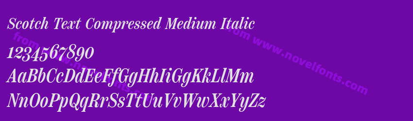 Scotch Text Compressed Medium ItalicPreview Scotch Text Compressed Medium ItalicPreview