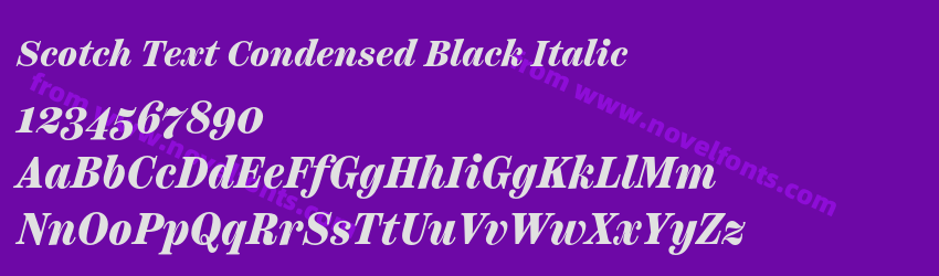 Scotch Text Condensed Black ItalicPreview Scotch Text Condensed Black ItalicPreview
