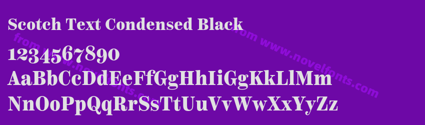 Scotch Text Condensed BlackPreview Scotch Text Condensed BlackPreview