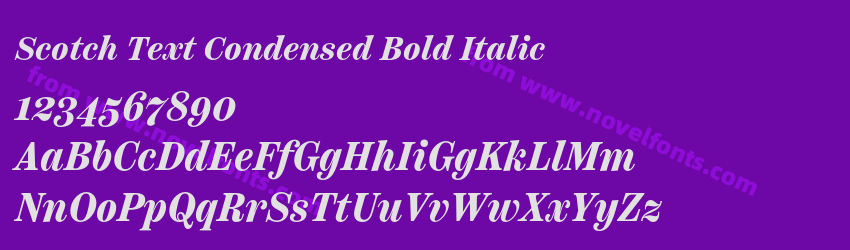 Scotch Text Condensed Bold ItalicPreview Scotch Text Condensed Bold ItalicPreview