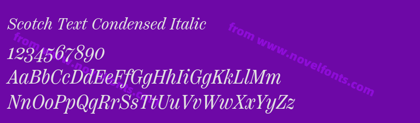 Scotch Text Condensed ItalicPreview Scotch Text Condensed ItalicPreview