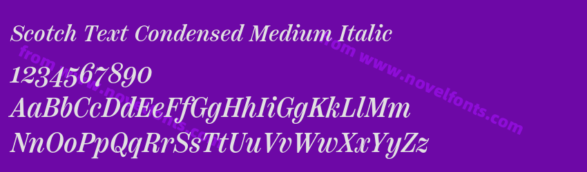 Scotch Text Condensed Medium ItalicPreview Scotch Text Condensed Medium ItalicPreview