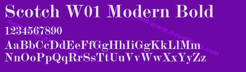 Scotch W01 Modern BoldPreview Scotch W01 Modern BoldPreview