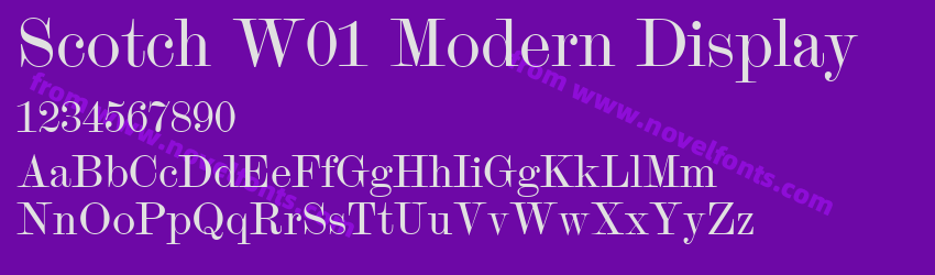 Scotch W01 Modern DisplayPreview Scotch W01 Modern DisplayPreview