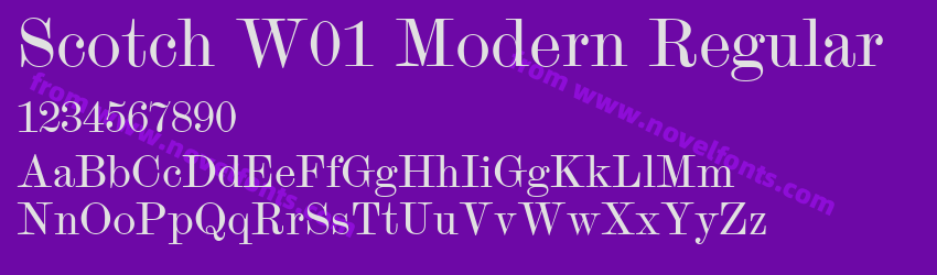 Scotch W01 Modern RegularPreview Scotch W01 Modern RegularPreview