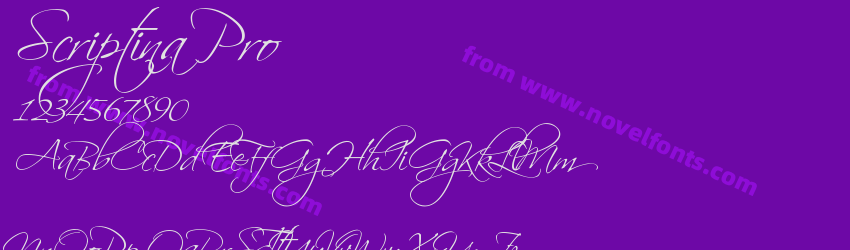 Scriptina ProPreview Scriptina ProPreview