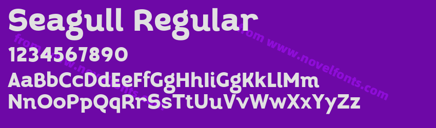 Seagull RegularPreview Seagull RegularPreview