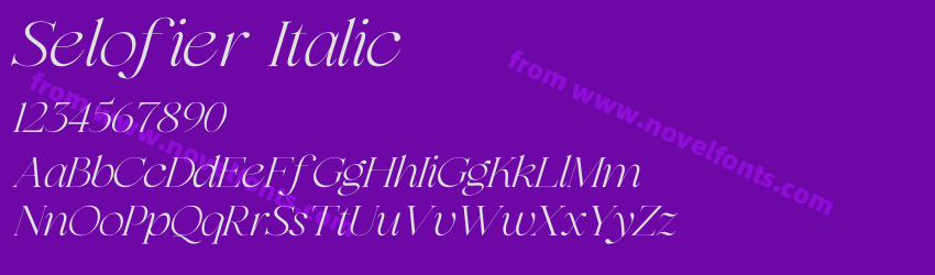 Selofier ItalicPreview Selofier ItalicPreview