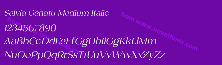 Selvia Genatu Medium ItalicPreview Selvia Genatu Medium ItalicPreview