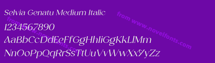 Selvia Genatu Medium ItalicPreview Selvia Genatu Medium ItalicPreview