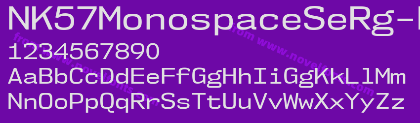 NK57 Monospace Se Rg RegularPreview