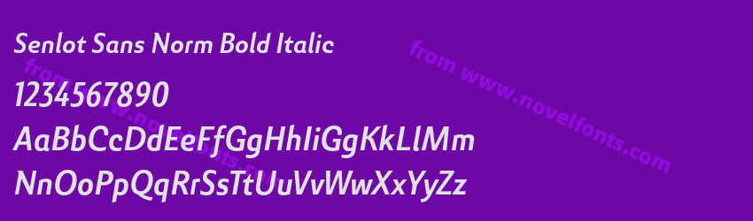 Senlot Sans Norm Bold ItalicPreview Senlot Sans Norm Bold ItalicPreview
