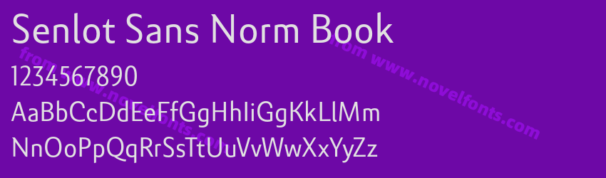 Senlot Sans Norm BookPreview Senlot Sans Norm BookPreview