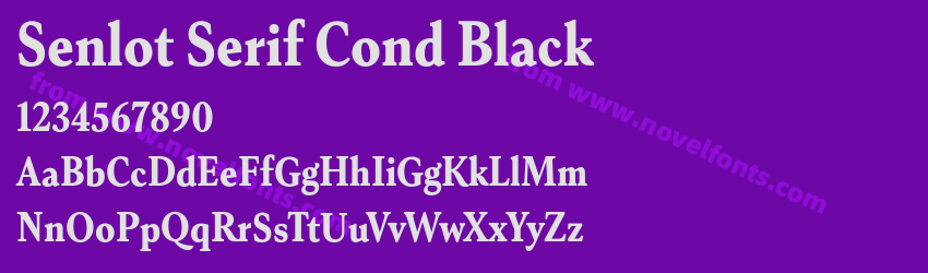Senlot Serif Cond BlackPreview Senlot Serif Cond BlackPreview