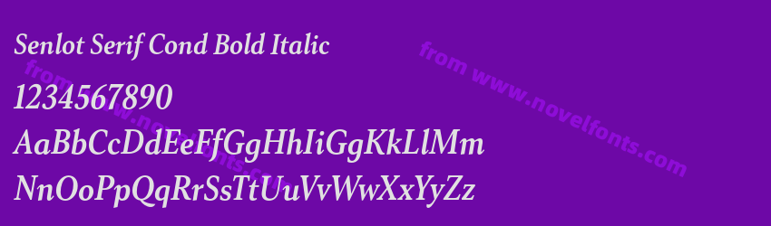 Senlot Serif Cond Bold ItalicPreview Senlot Serif Cond Bold ItalicPreview