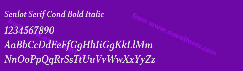 Senlot Serif Cond Bold ItalicPreview Senlot Serif Cond Bold ItalicPreview