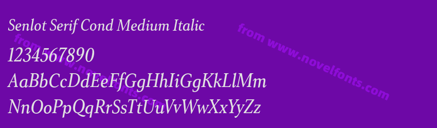 Senlot Serif Cond Medium ItalicPreview Senlot Serif Cond Medium ItalicPreview