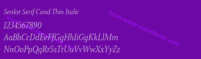 Senlot Serif Cond Thin ItalicPreview Senlot Serif Cond Thin ItalicPreview