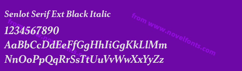 Senlot Serif Ext Black ItalicPreview Senlot Serif Ext Black ItalicPreview