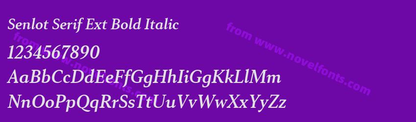 Senlot Serif Ext Bold ItalicPreview Senlot Serif Ext Bold ItalicPreview