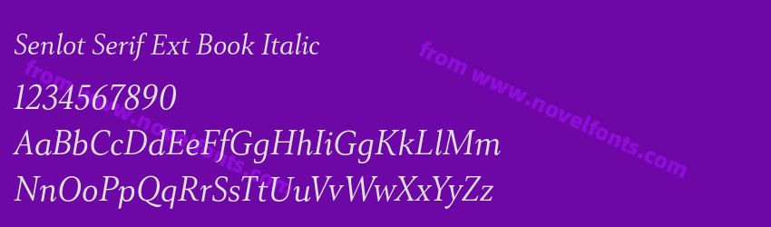 Senlot Serif Ext Book ItalicPreview Senlot Serif Ext Book ItalicPreview