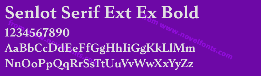 Senlot Serif Ext Ex BoldPreview Senlot Serif Ext Ex BoldPreview