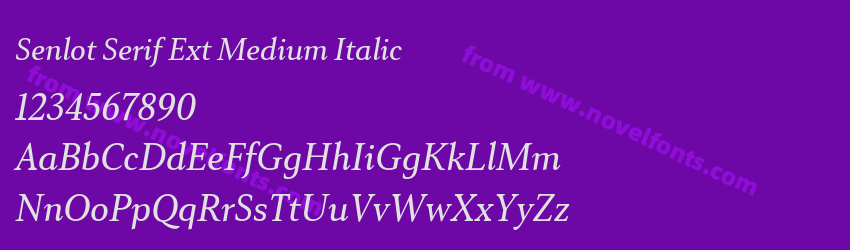 Senlot Serif Ext Medium ItalicPreview Senlot Serif Ext Medium ItalicPreview